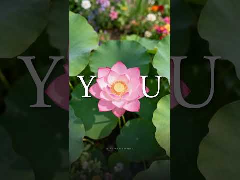 How I see you.