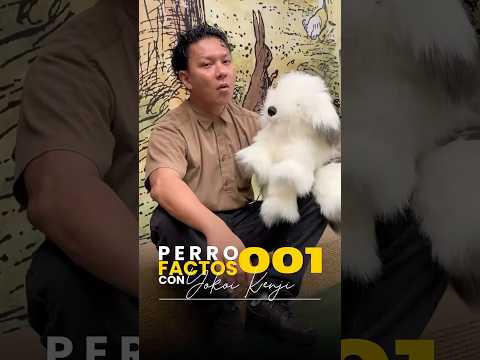 PerroFactos 001