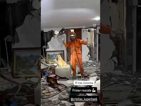 Salvando a Zeus! El perro topo 😅 Gracias por tan peligrosa pero maravillosa vocación.